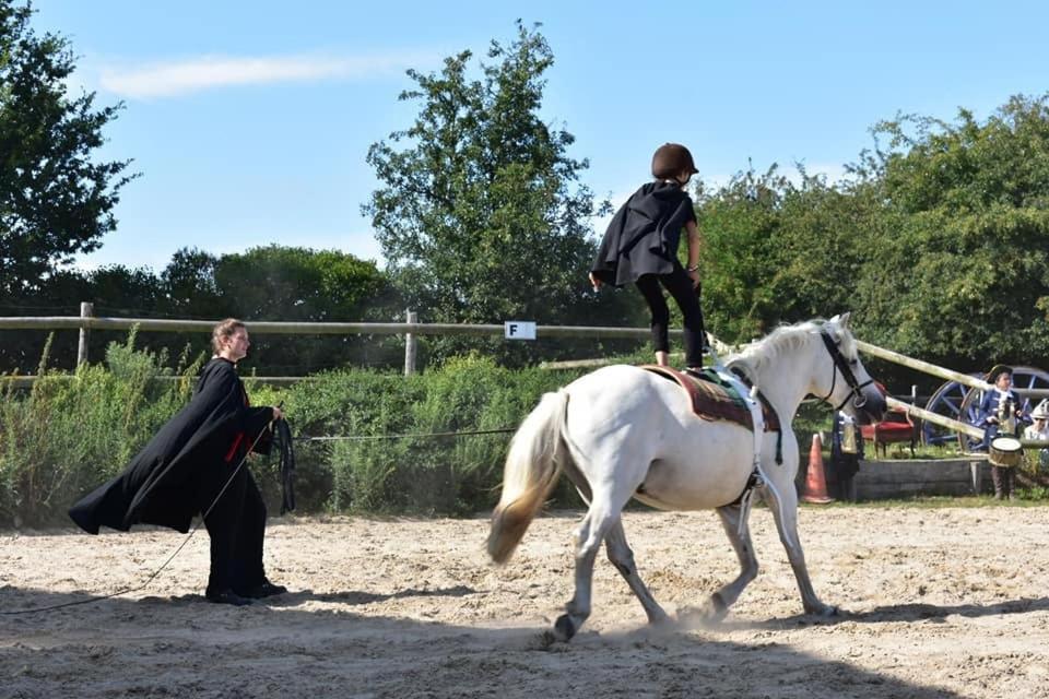Ecuries Leseigneur - Camping Insolites Bolleville  Esterno foto