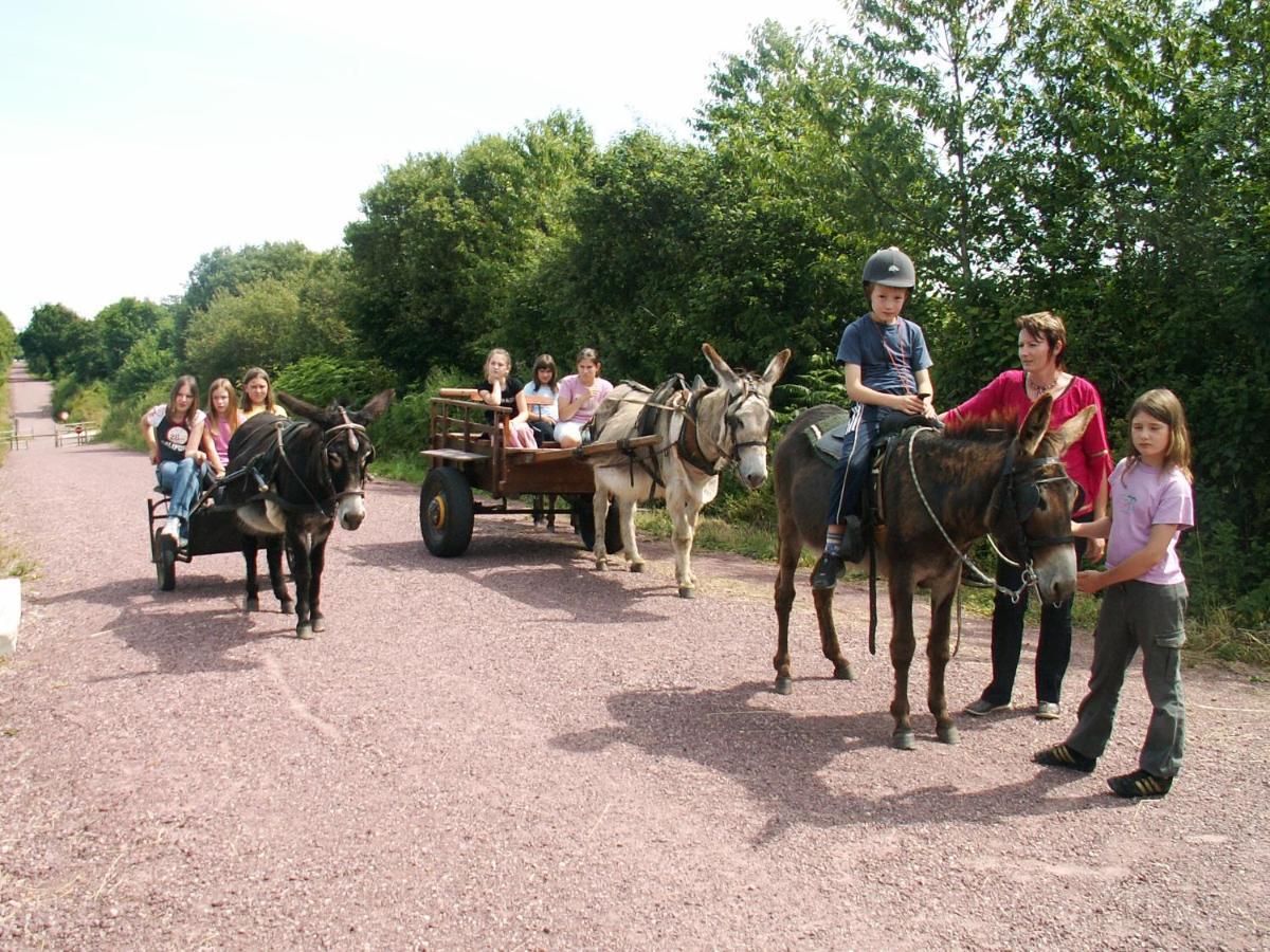 Ecuries Leseigneur - Camping Insolites Bolleville  Esterno foto