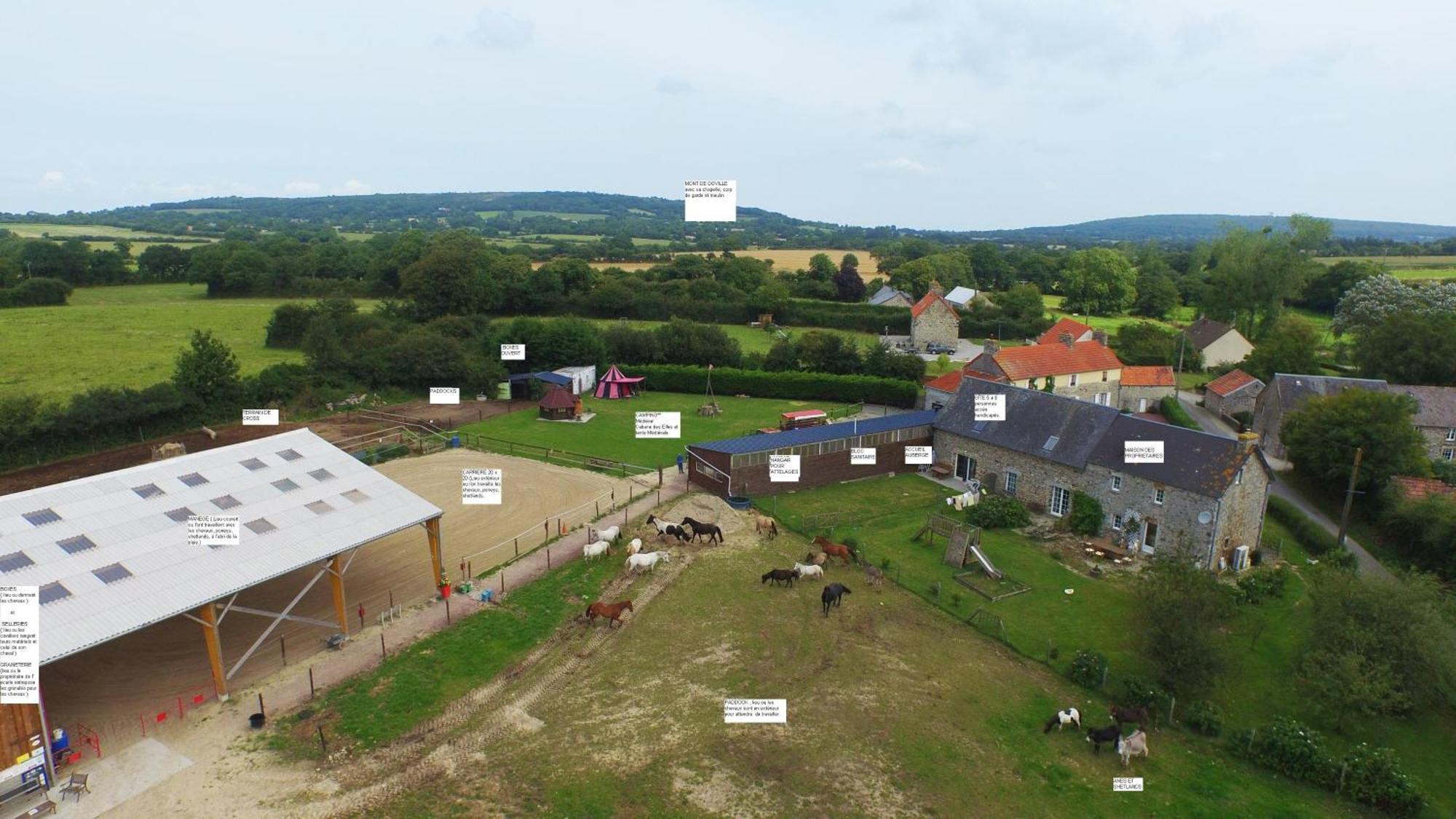 Ecuries Leseigneur - Camping Insolites Bolleville  Esterno foto